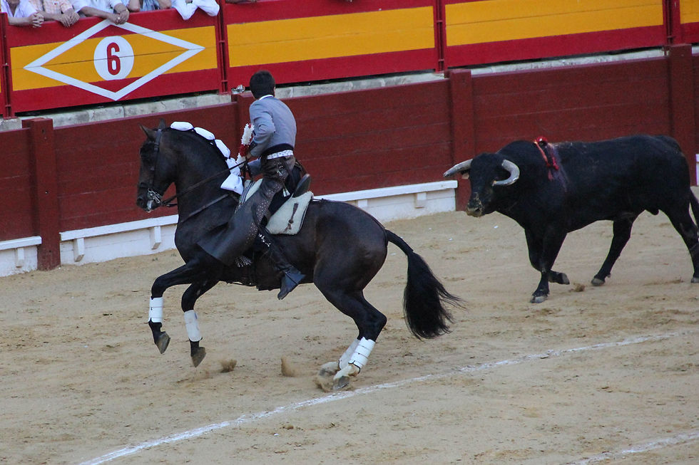 farruco 2.jpg