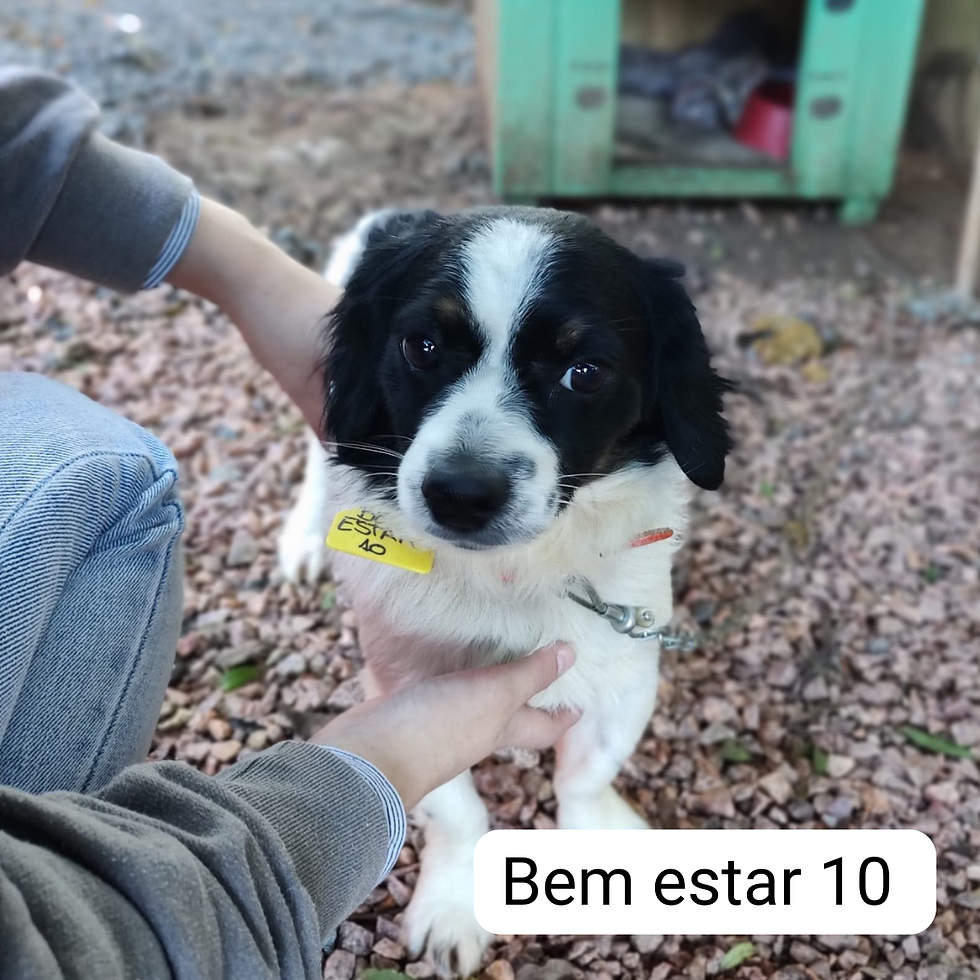 BEM ESTAR 10 (2).png