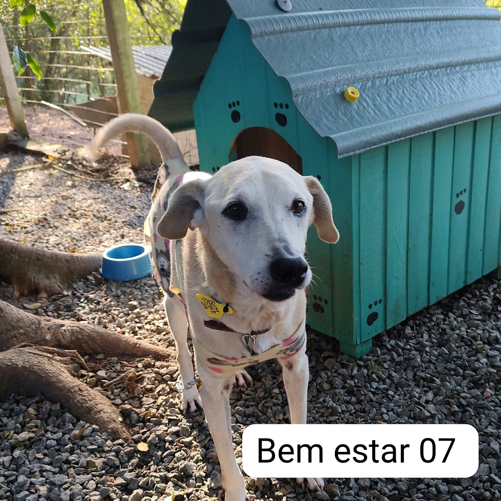 BEM ESTAR 07 (2).png