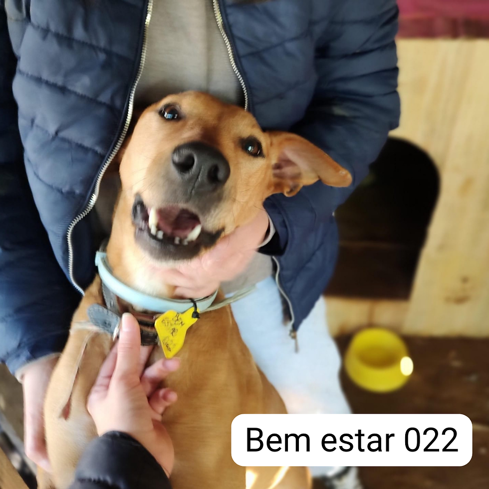 BEM ESTAR 022 (1).png