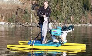 Vanderbilt beach hydro bike rentals