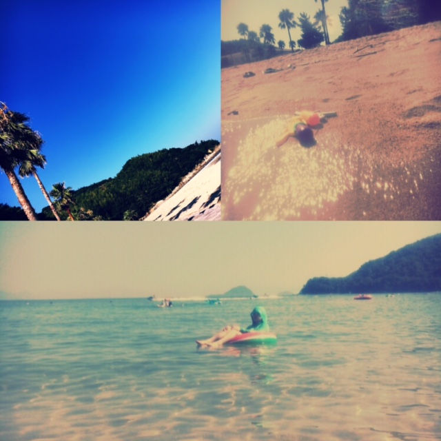 海