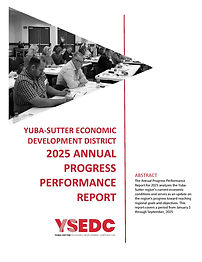 2025 CEDS Performance and Update Report Cover.jpg