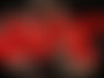 Nueva Orleans espera ser una sede permanente de eventos de la UFC