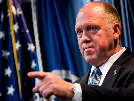ICE triplicará su fuerza de deportación con 10,000 nuevos agentes a partir de enero, anuncia Tom Homan