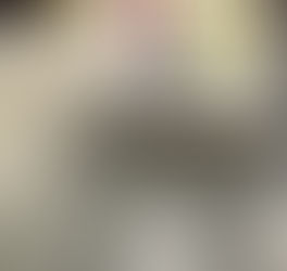 Agentes encubiertos realizan operativo en Gretna