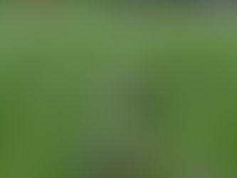 Rattler rescata a los Saints con touchdown y conversión para empatar ante Jaguars