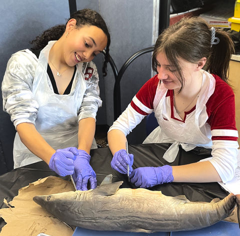 science dissection