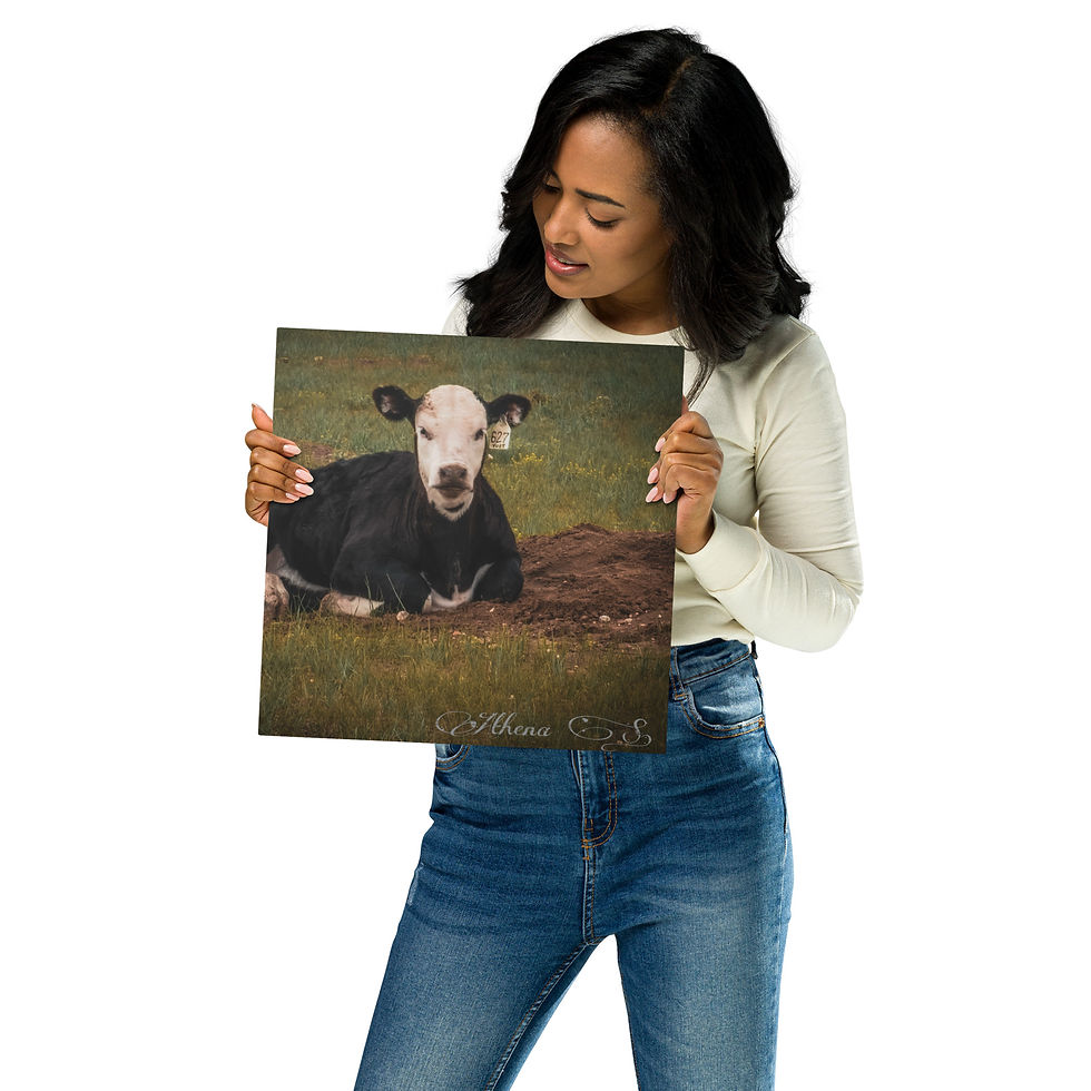 Thumbnail: Metal prints