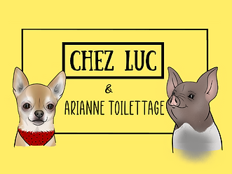 Illustration_sans_titre 1 (1).png