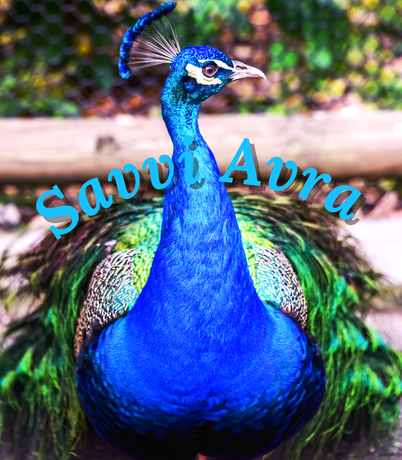 Writer: savviavragoh