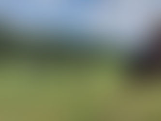 The Herd | A Closely Knit Unit