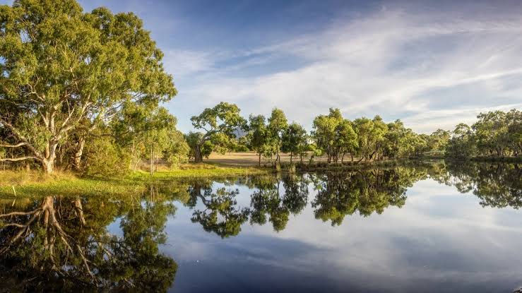 Belair National Park.jpg