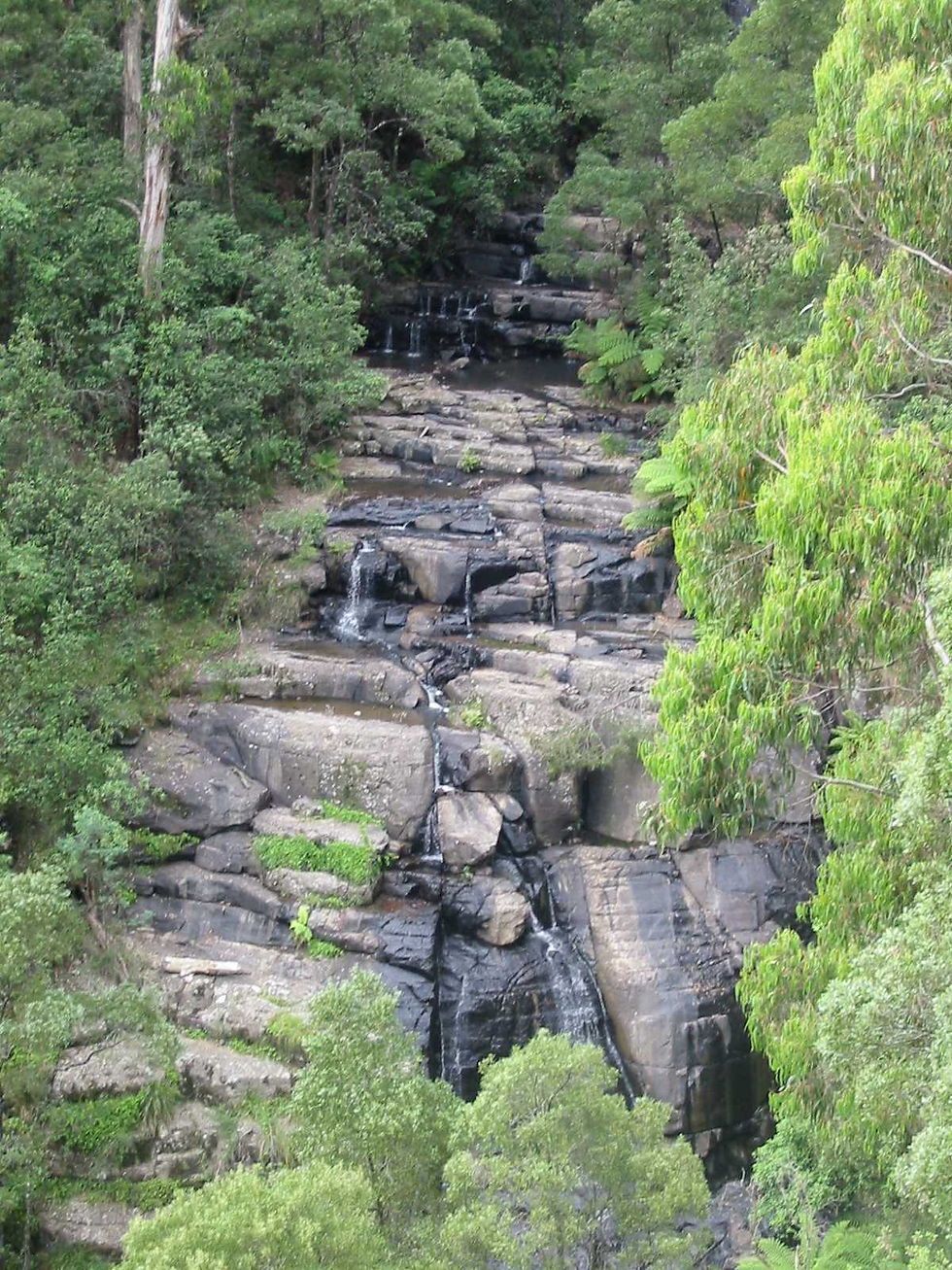 Kinglake National Park.jpg