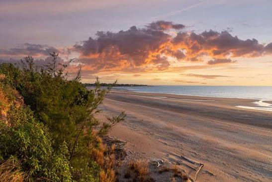 Casuarina Beach.jpg