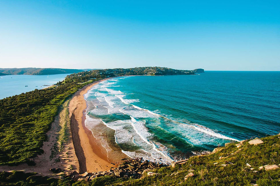 Palm Beach.jpg