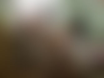 Membangun Kebiasaan Membaca Satu Buku Sebelum Tidur untuk Meningkatkan Minat Baca Anak