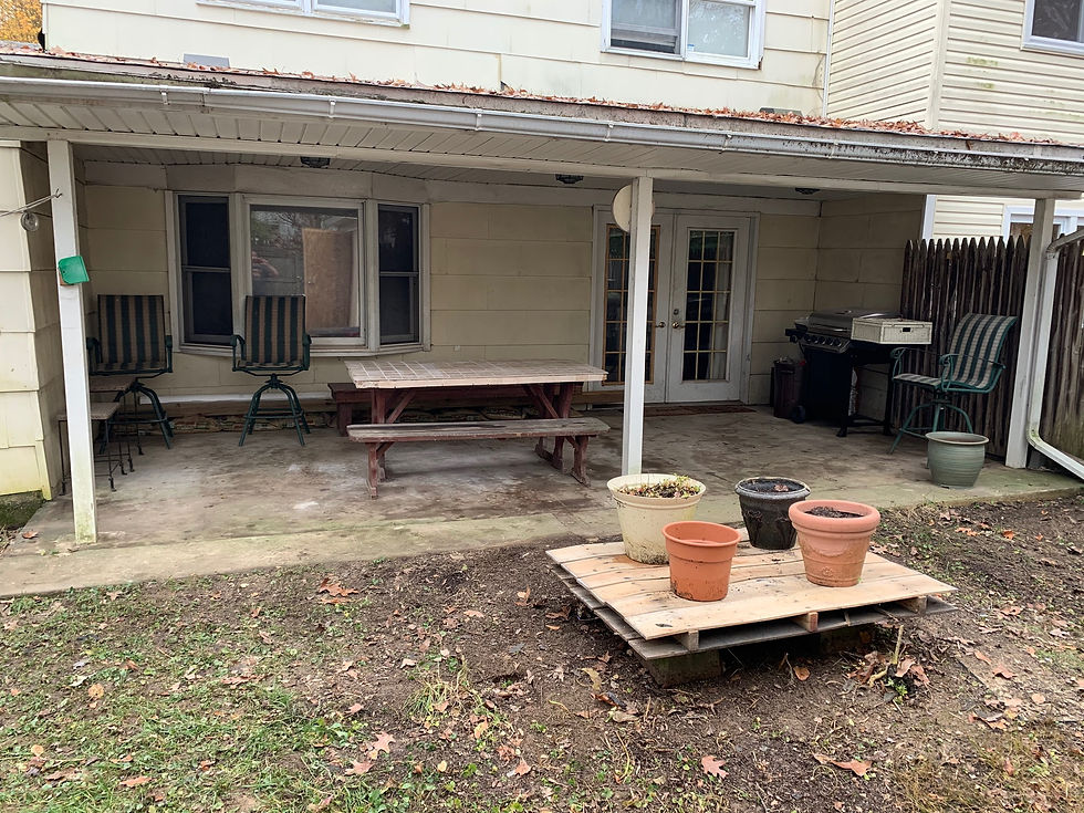backyard cleanout-1