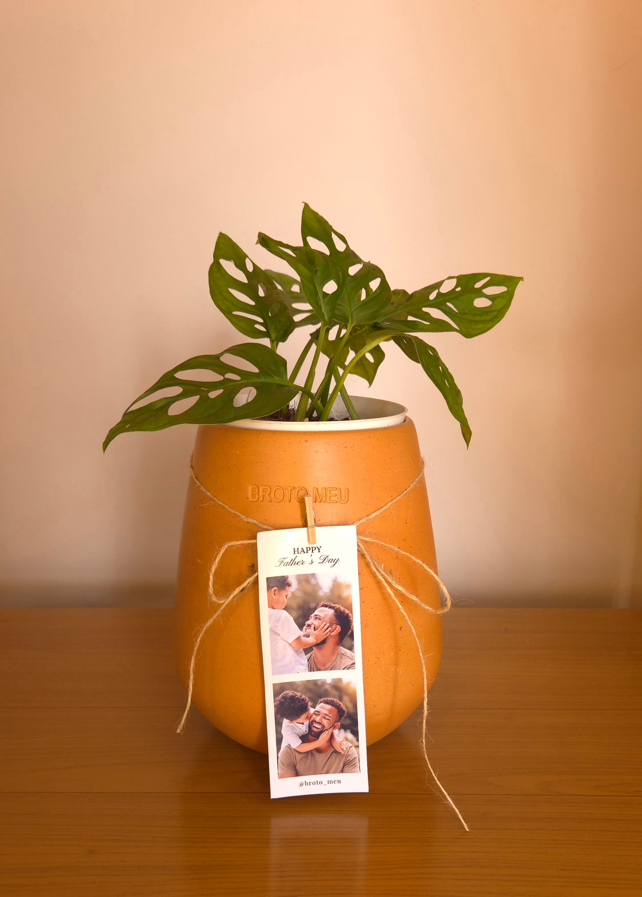 Vaso Cerâmico M - Monstera adansonii
