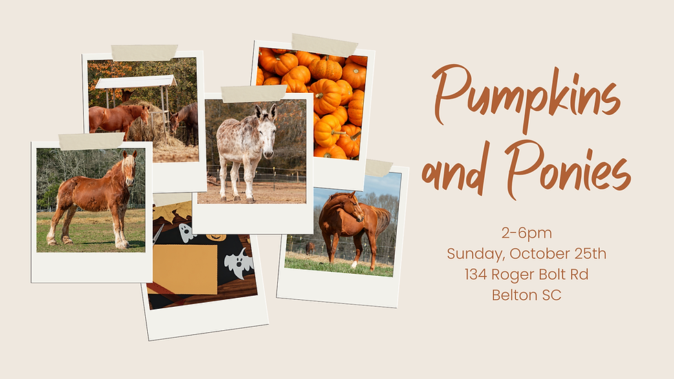 Pumpkins and Ponies