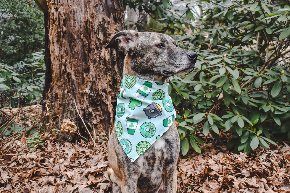 Thumbnail: Irish Donuts Reversible Bandana