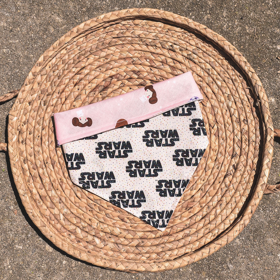 Thumbnail: Star Wars Character Reversible Bandana