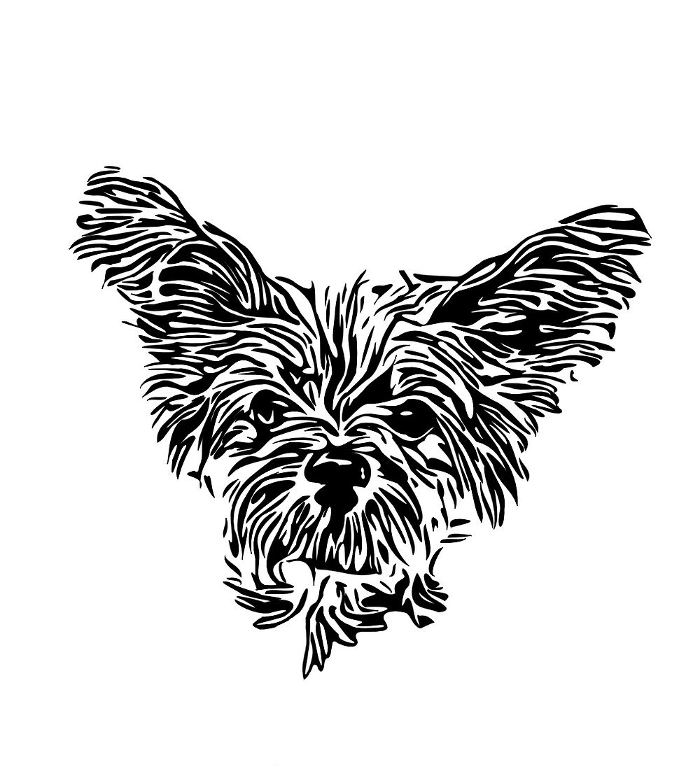 Thumbnail: Pet Portrait