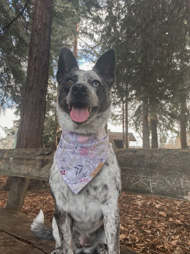 Thumbnail: Fancy Floral Bandana