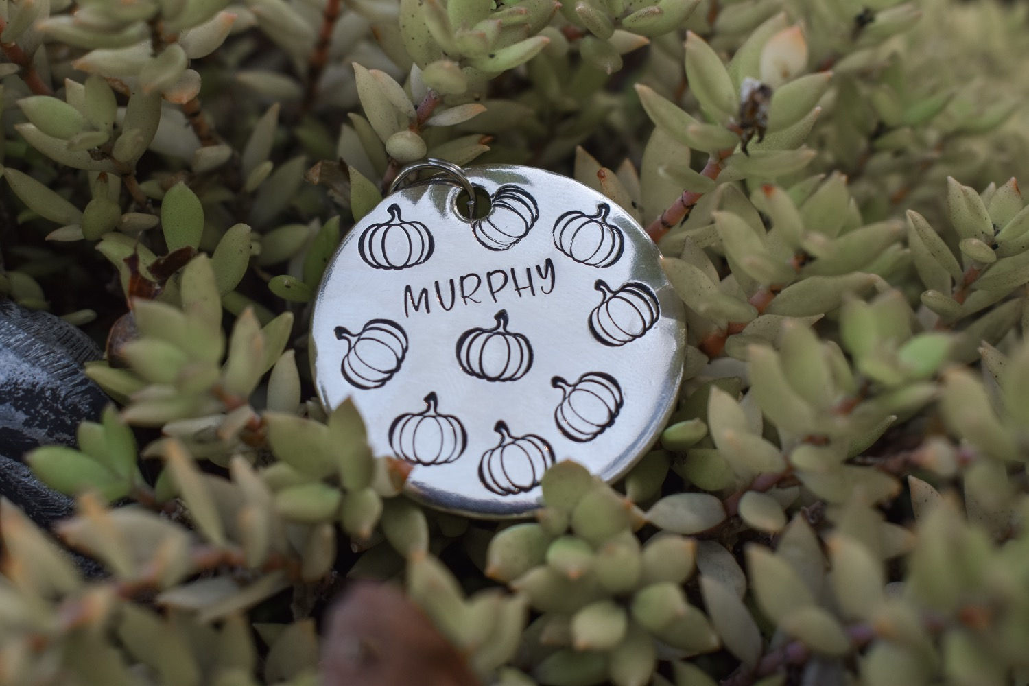 Scattered Pumpkins 1.25" Pet ID Tag