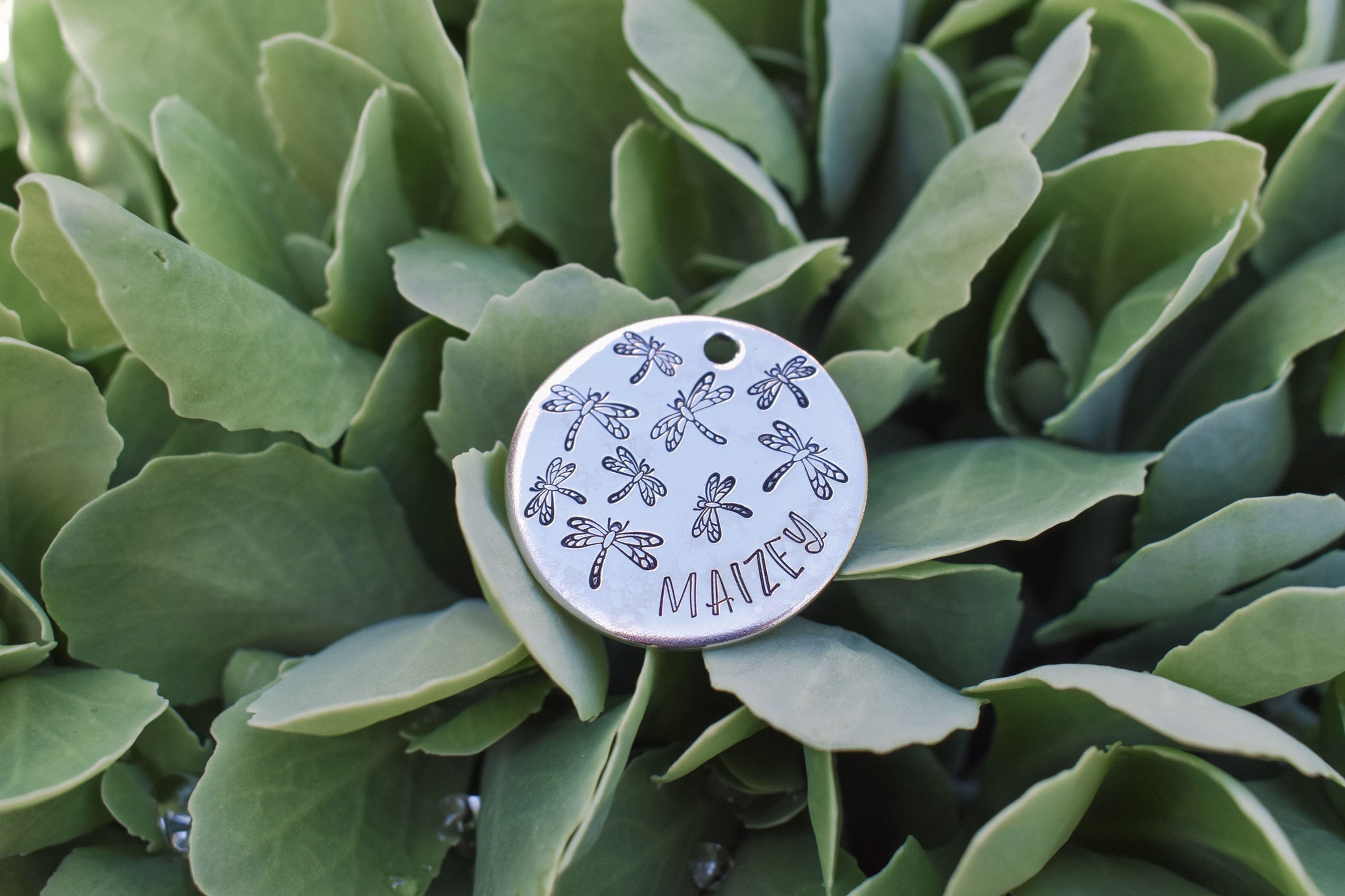 Scattered Dragonflies 1.25" Pet ID Tag