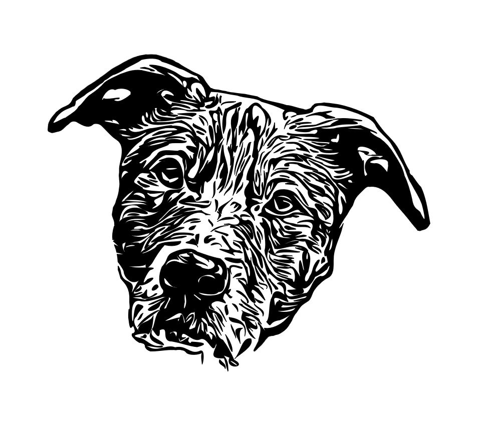 Thumbnail: Pet Portrait
