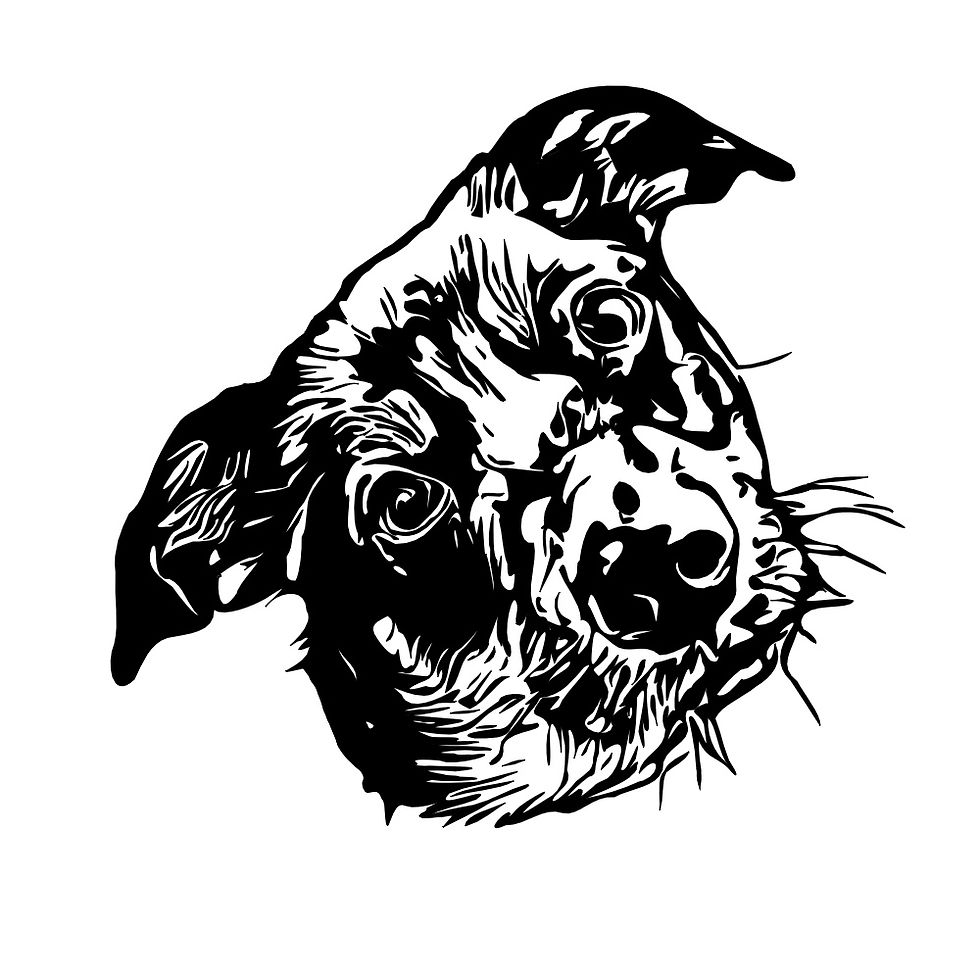 Thumbnail: Pet Portrait