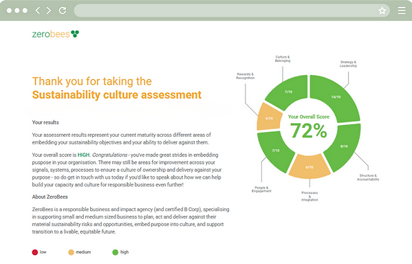 cultural assessment.png