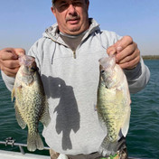 Crappie