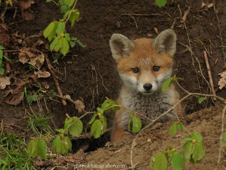 Leben draussen in der Natur