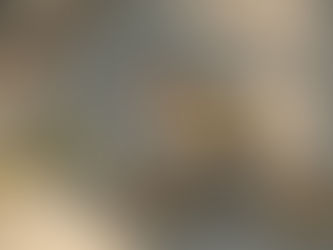 Stieglitz (Distelfink)