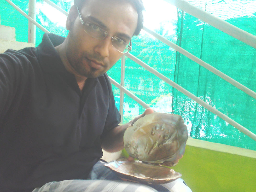Lenovo_A1000_IMG_20160812_163225.jpg