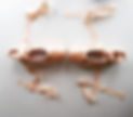 Pointe shoes.jpg