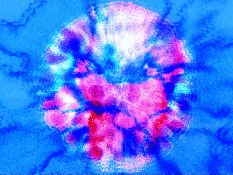Vivid Light Sun Up Sat Loop.gif