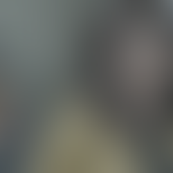 What is Shallow Depth of Field and how is it used?