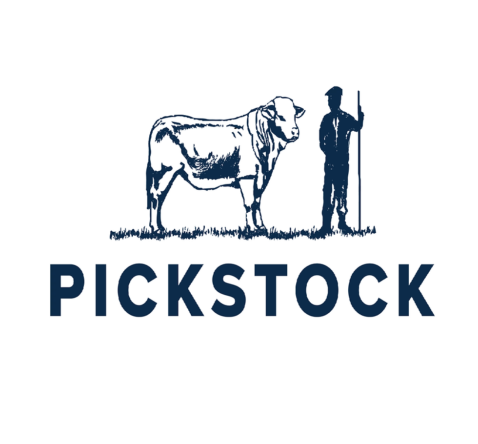 PICKSTOCK