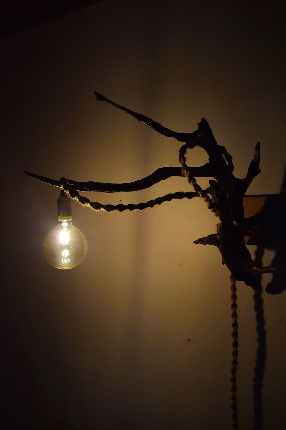 Thumbnail: Driftwood Table Lamp / Sconce - Dendronotus Frondosus 