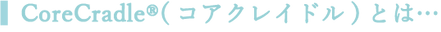 アセット 5.png