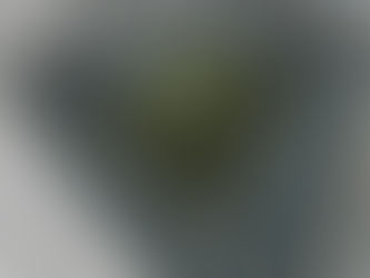 Votanikos Urban Regeneration Project to invest € 163 mln