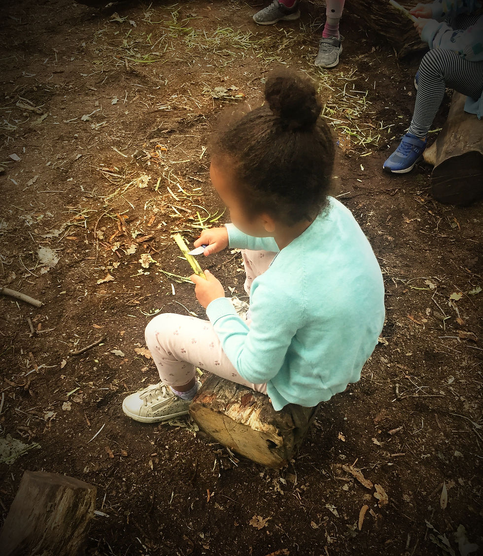 Thumbnail: Forest School SUMMER CAMP