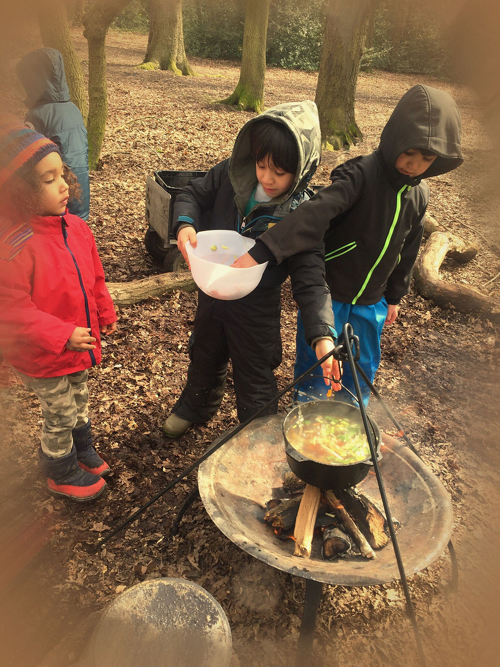 Thumbnail: Home Education Forest School Program