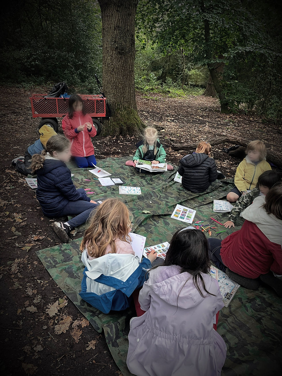 Thumbnail: Forest School After School Program