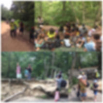 86F4AA88-D857-417C-A4E4-AF583234FECF.jpe
