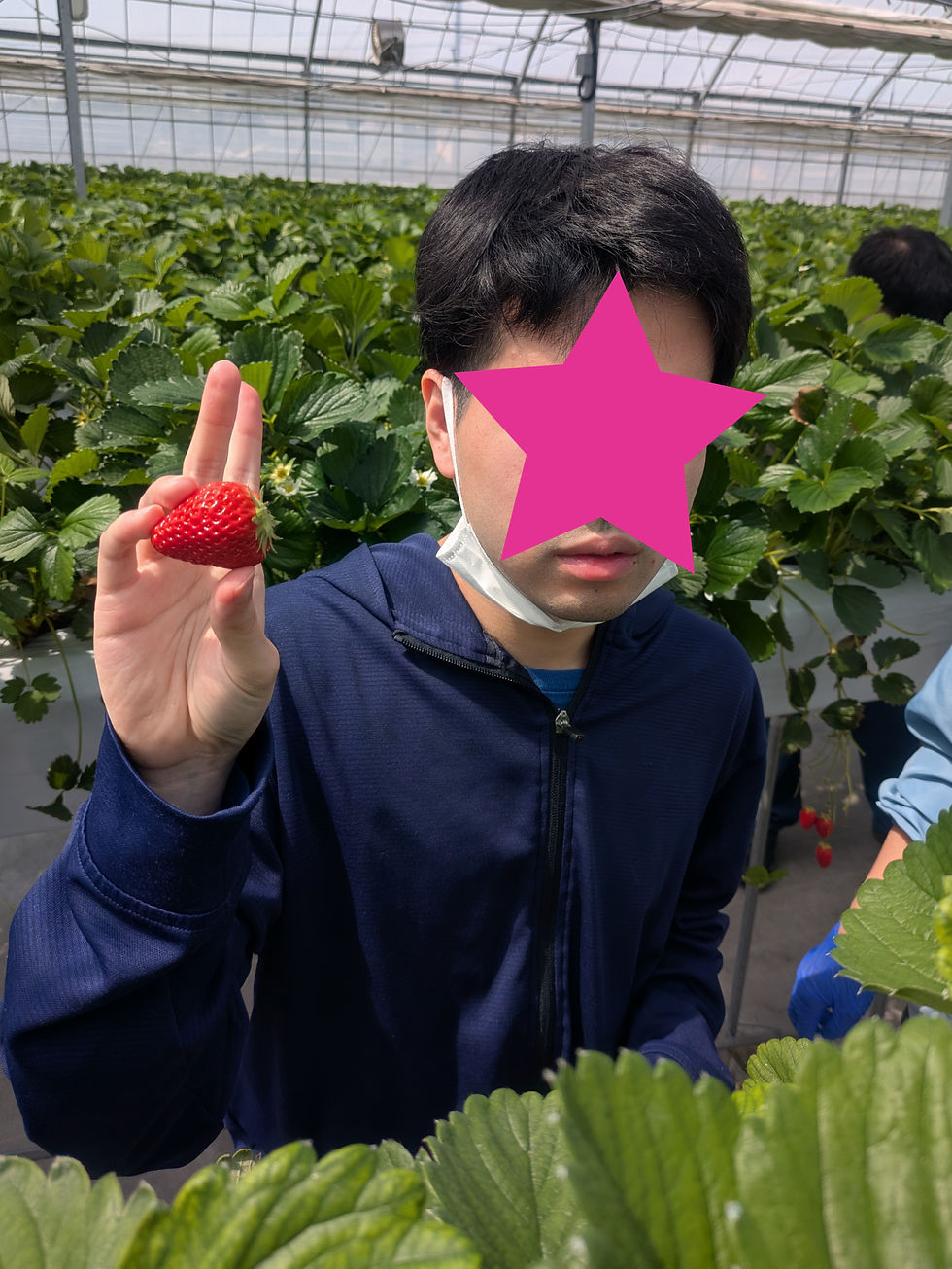 大きいいちご見つけたよ✨
