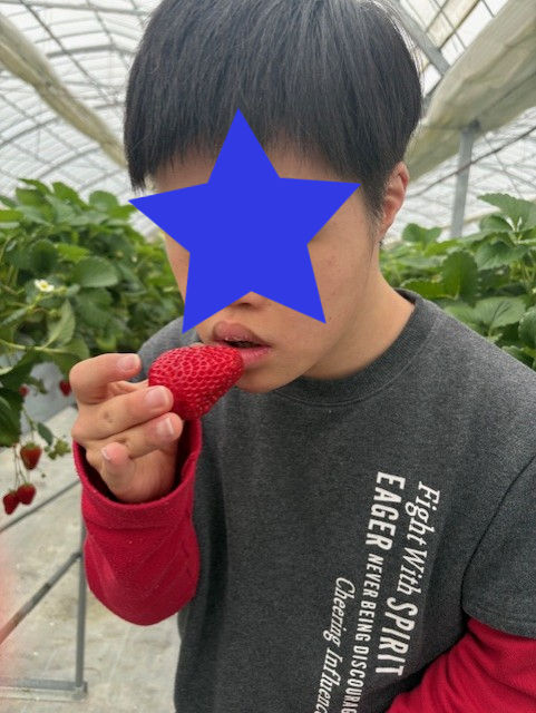 あか~いのみつけたよ🍓